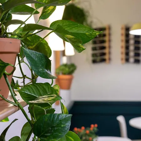 Hotell Ibis Dunkerque 3*
