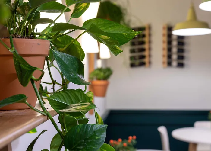 Hotel Ibis Dunkerque